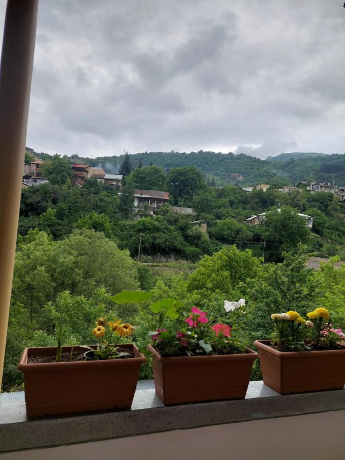 Arman Guest House Dilijan Exterior photo